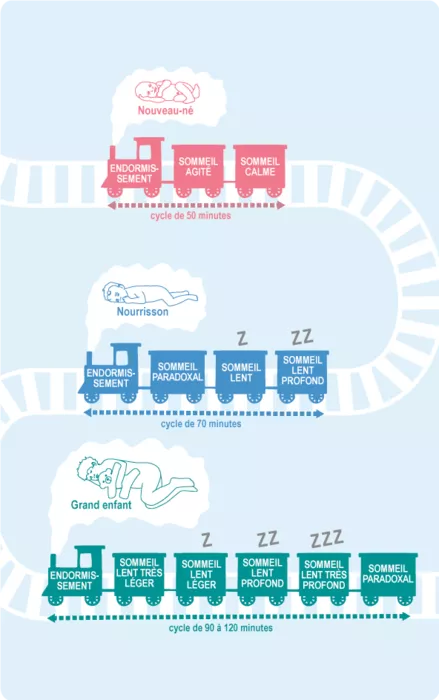 Illustration représentant le "train du sommeil" pour trois catégories d'âge : nouveau-né, nourrisson et grand enfant, montrant l'évolution des cycles de sommeil (durée et composition) en fonction de l'âge.